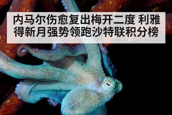 内马尔伤愈复出梅开二度 利雅得新月强势领跑沙特联积分榜